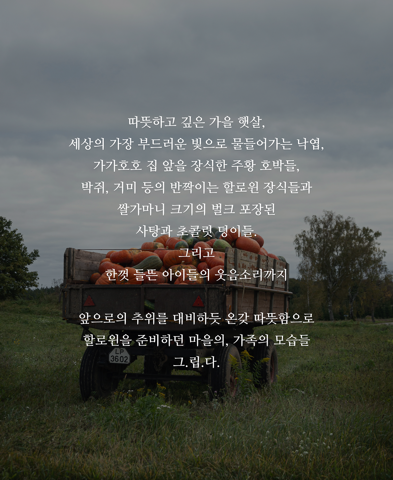 할로윈02.png