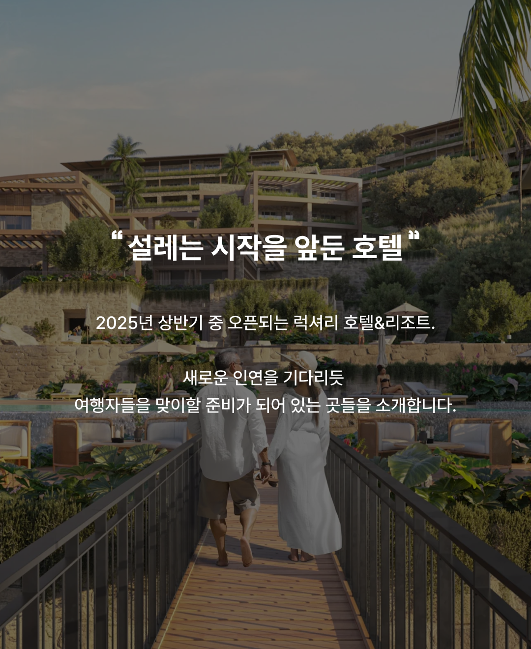 상반기 신상_02.png