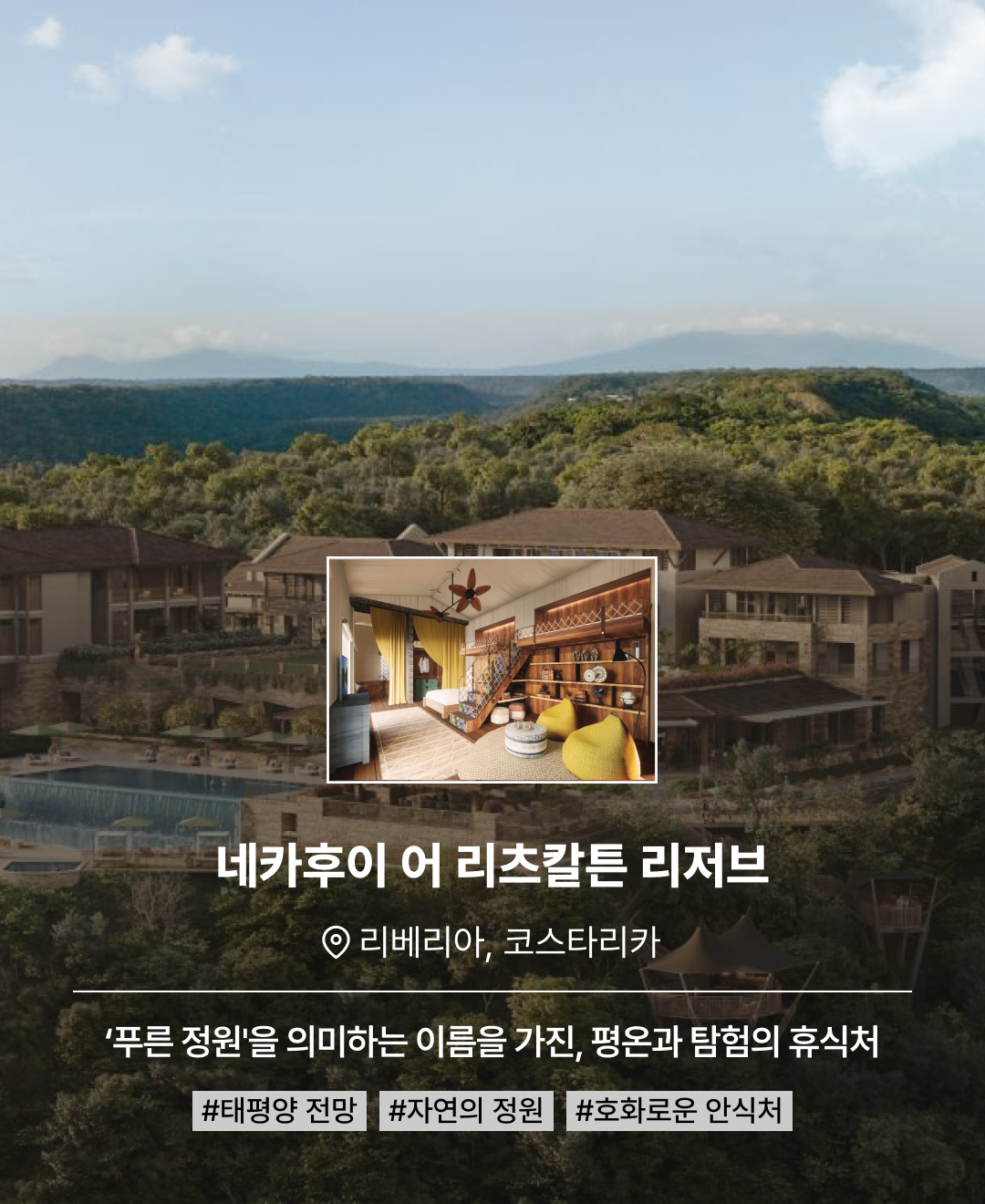 상반기 신상_08.png