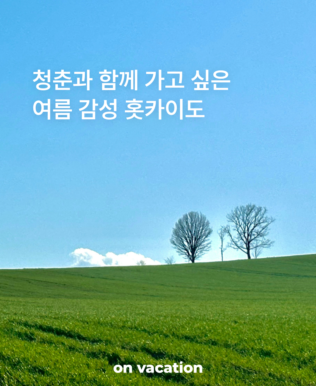 함께 가고 싶은 훗카이도_01.png