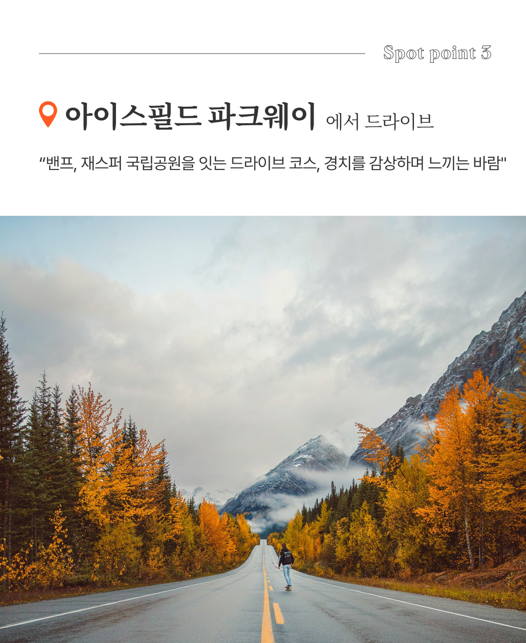 함께 가고 싶은 알버타_05.png