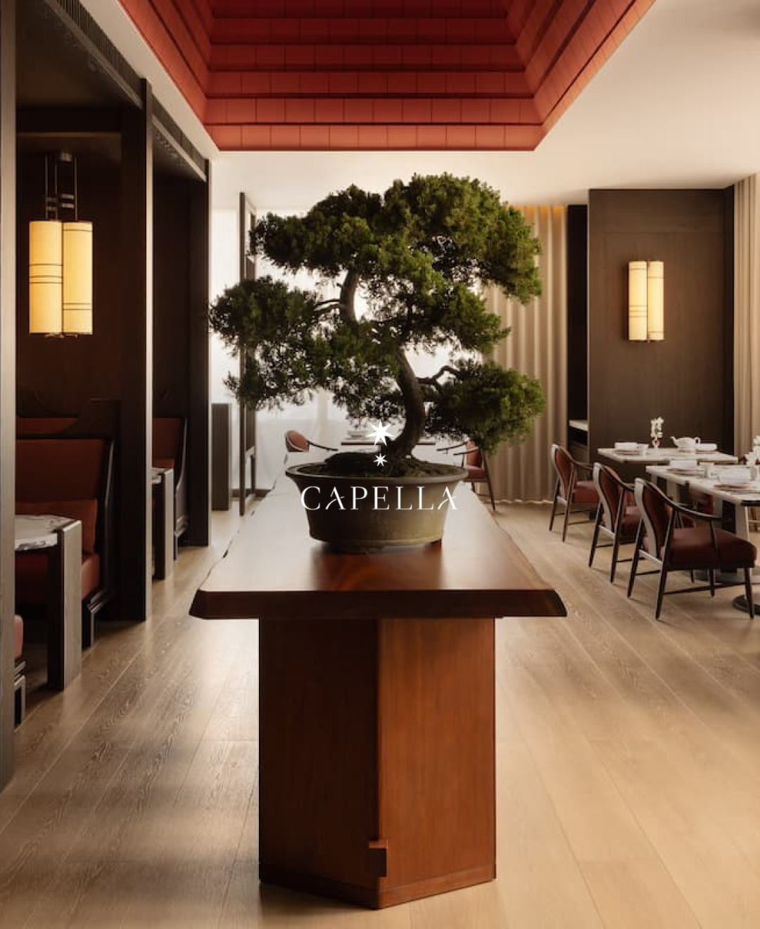 카펠라 타이베이_03.png