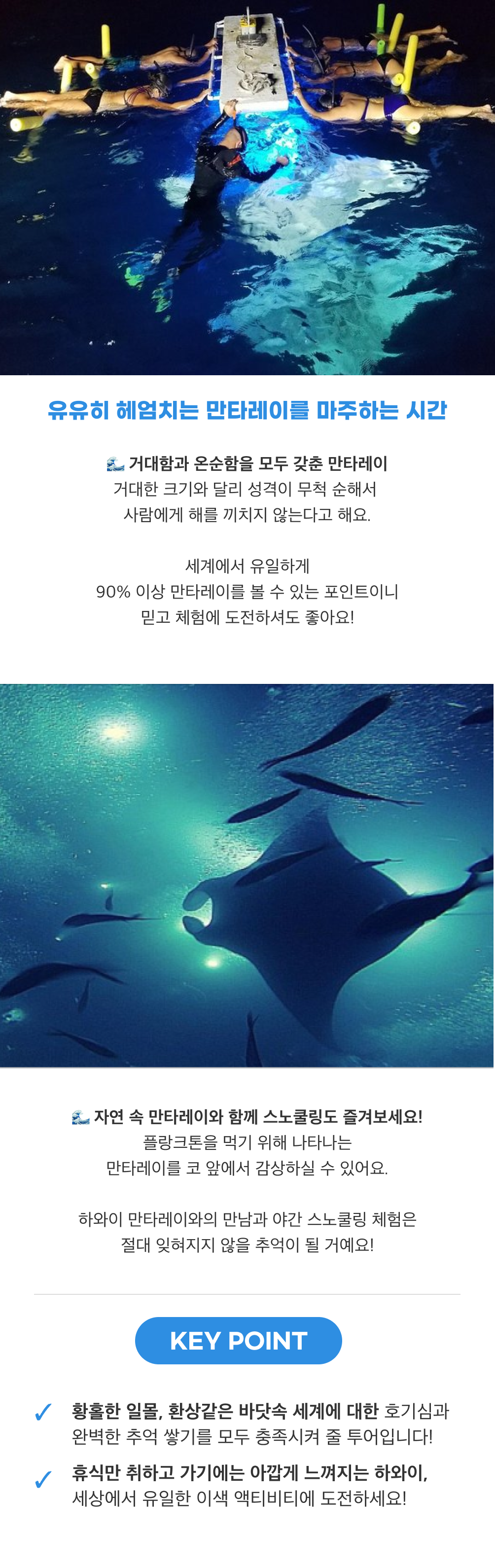 하와이 빅아일랜드 선셋 만타레이 스노쿨링4(수정).png