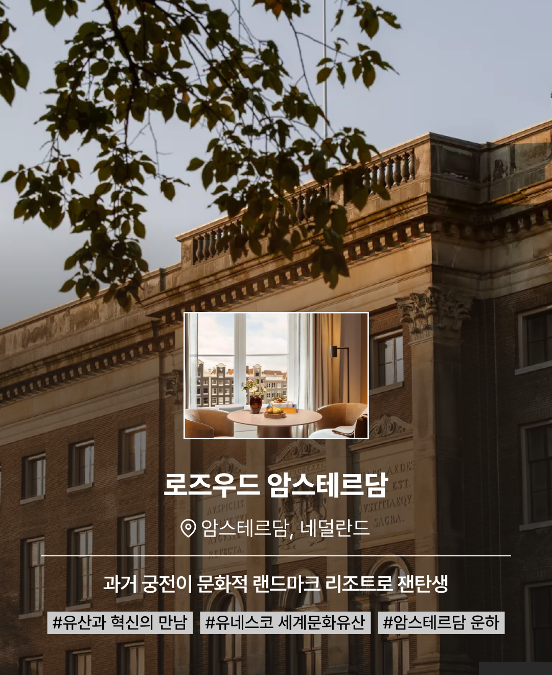 상반기 신상_10.png