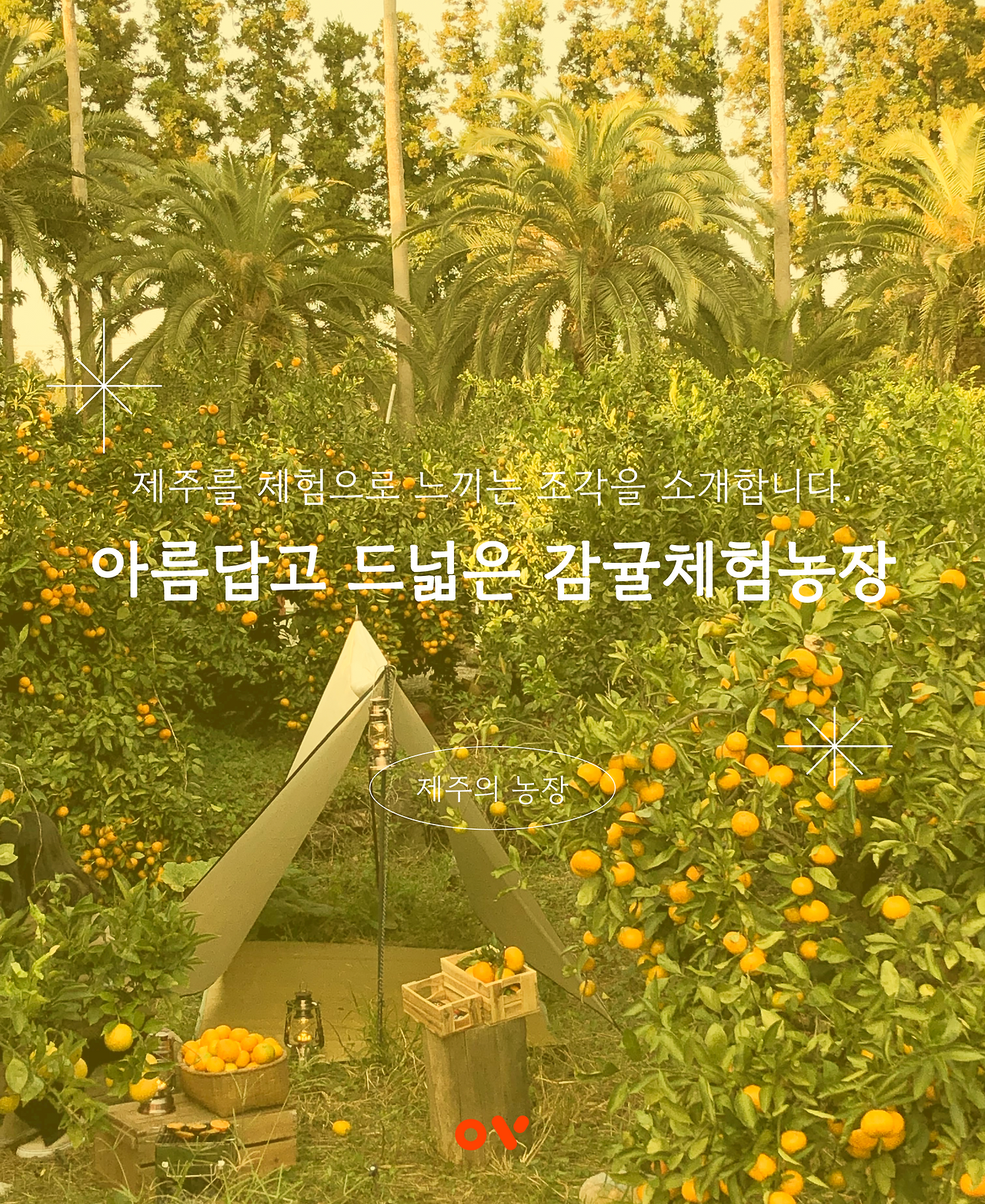 감귤체험01.png
