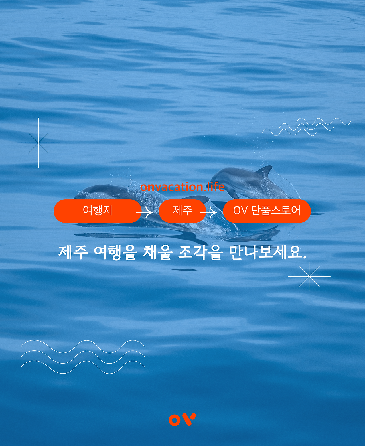 유리바닥돌고래7.png