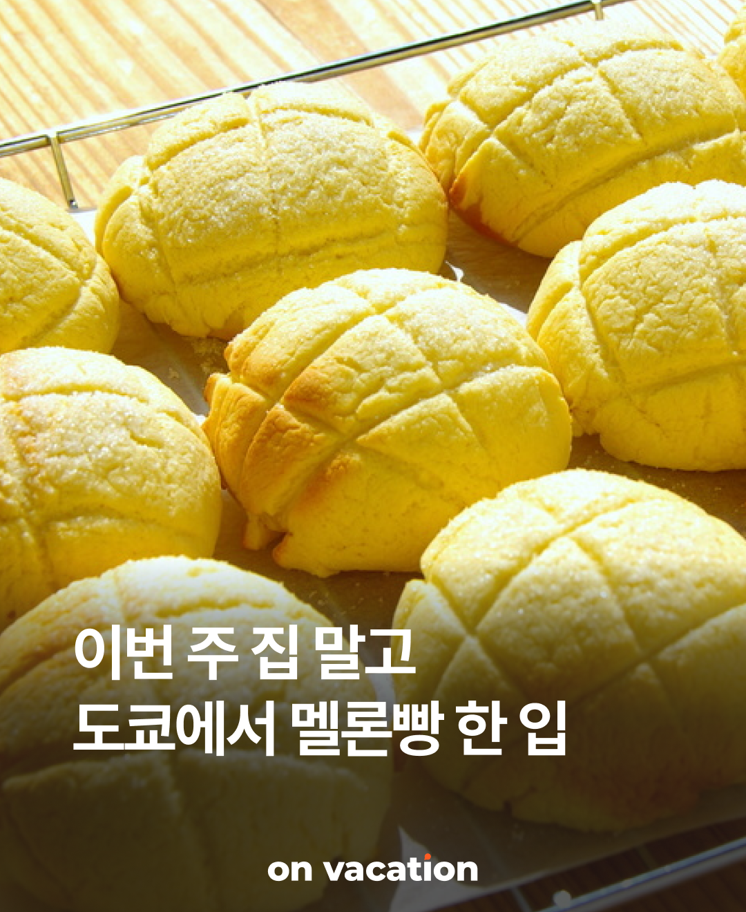 이번주집말고_도쿄에서멜론빵_230731_01.png