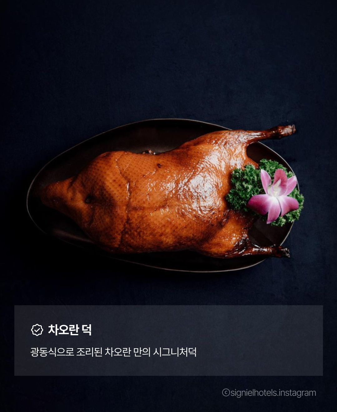 차오란06.png