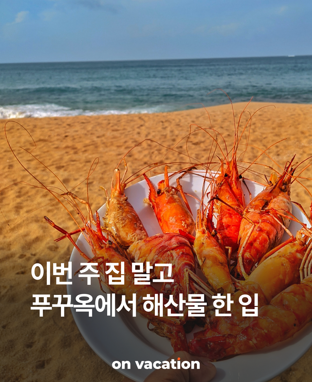 이번주집말고_푸꾸옥해산물_231023_01.png