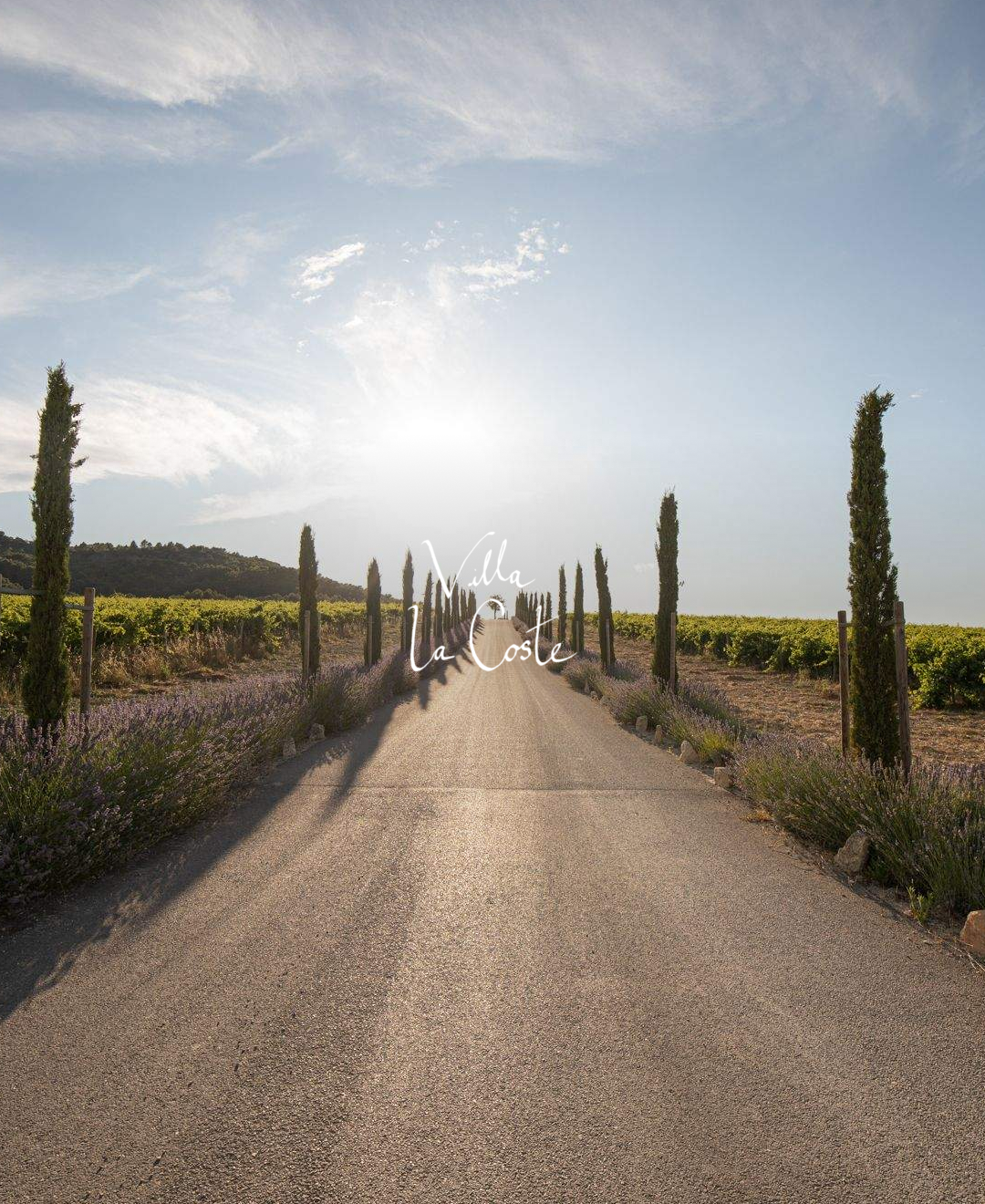 빌라 라코스테_09.png