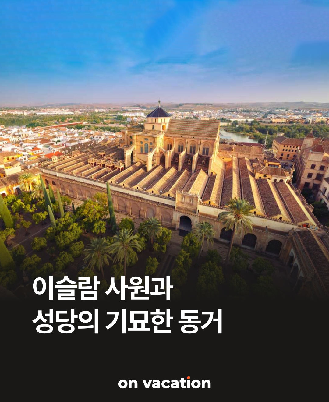 OV 트래블 포인트_01.png