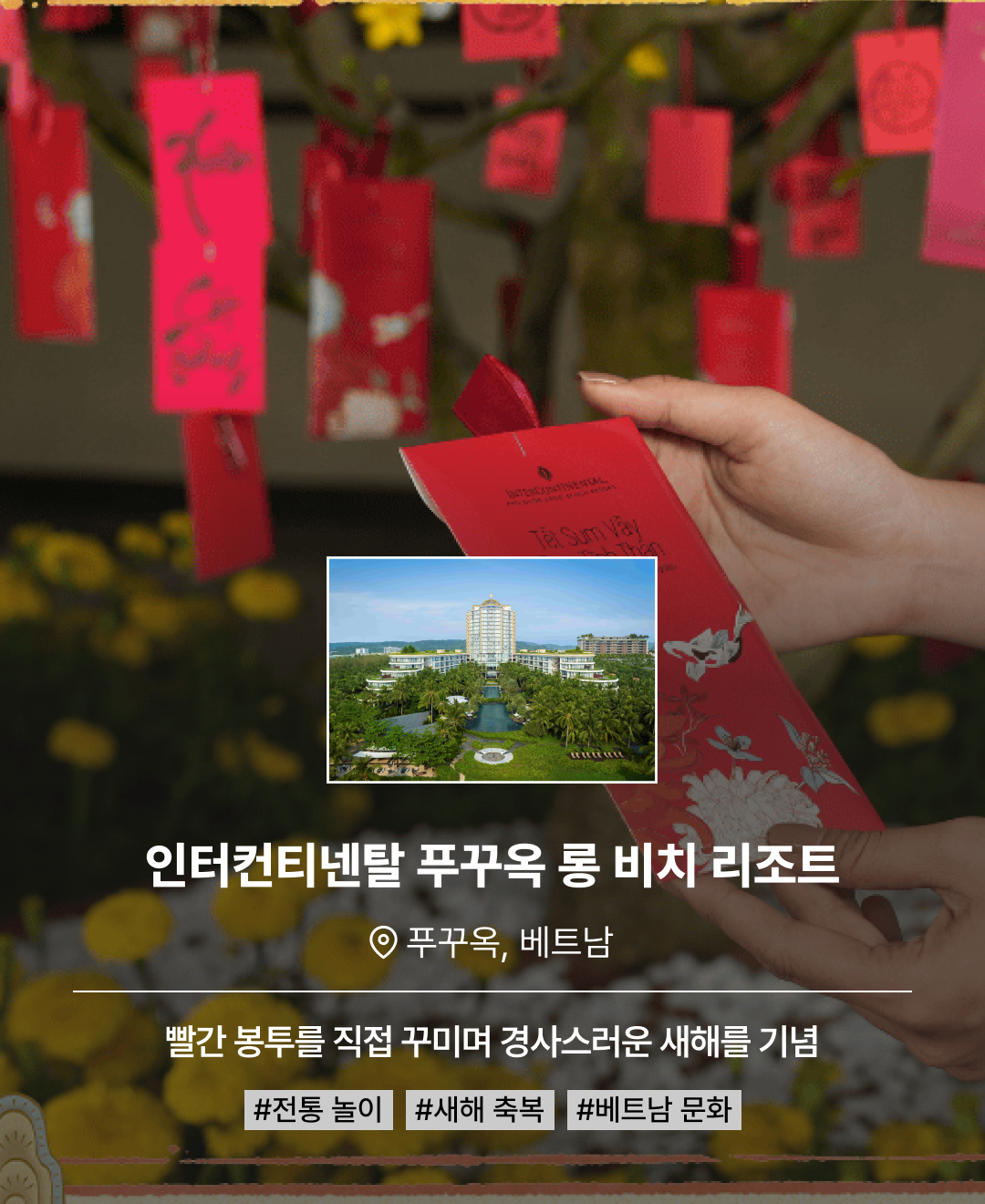 설날 컬렉션_04.png