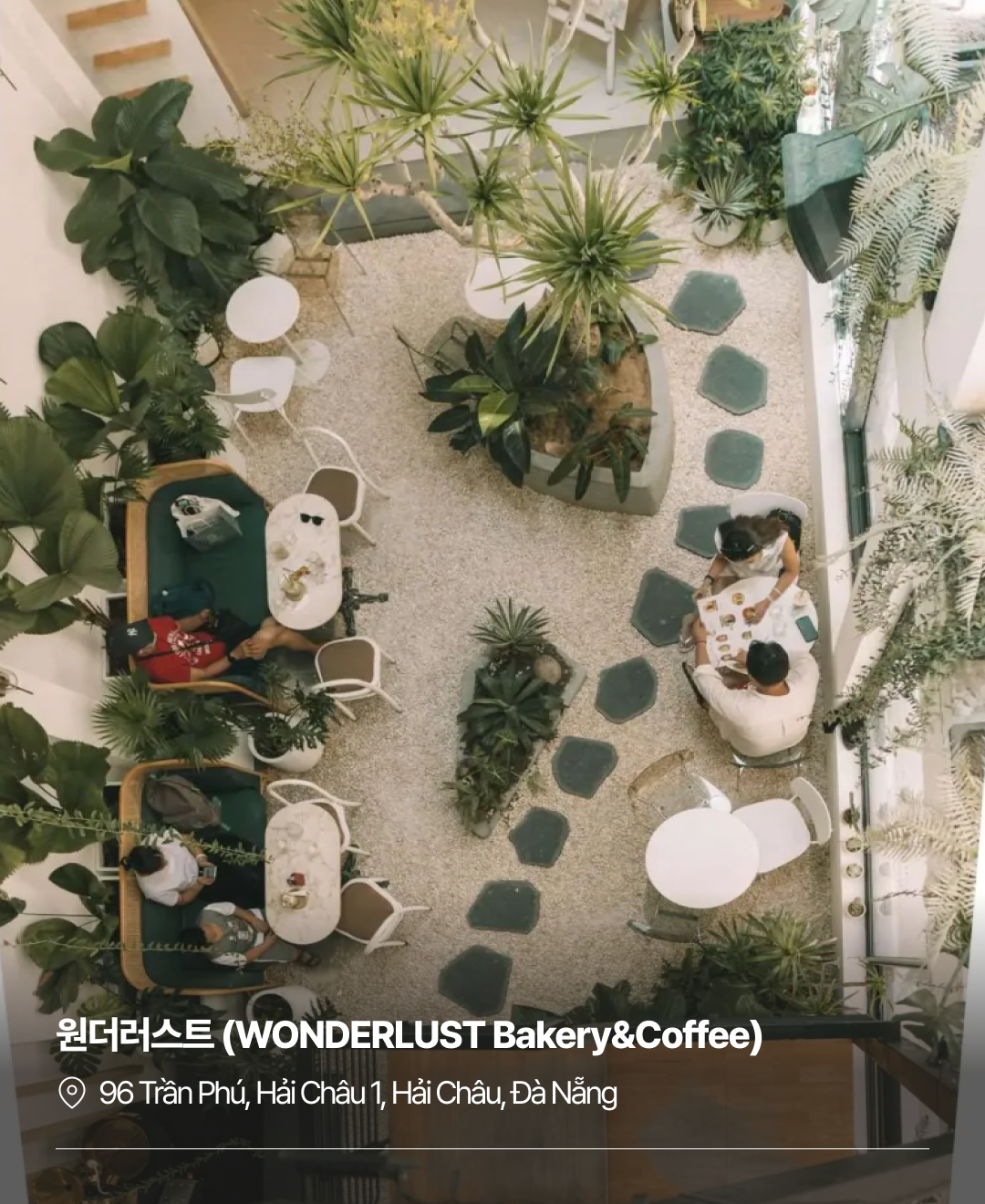 이번주집말고_다낭에서 코코넛커피_230807_05.png