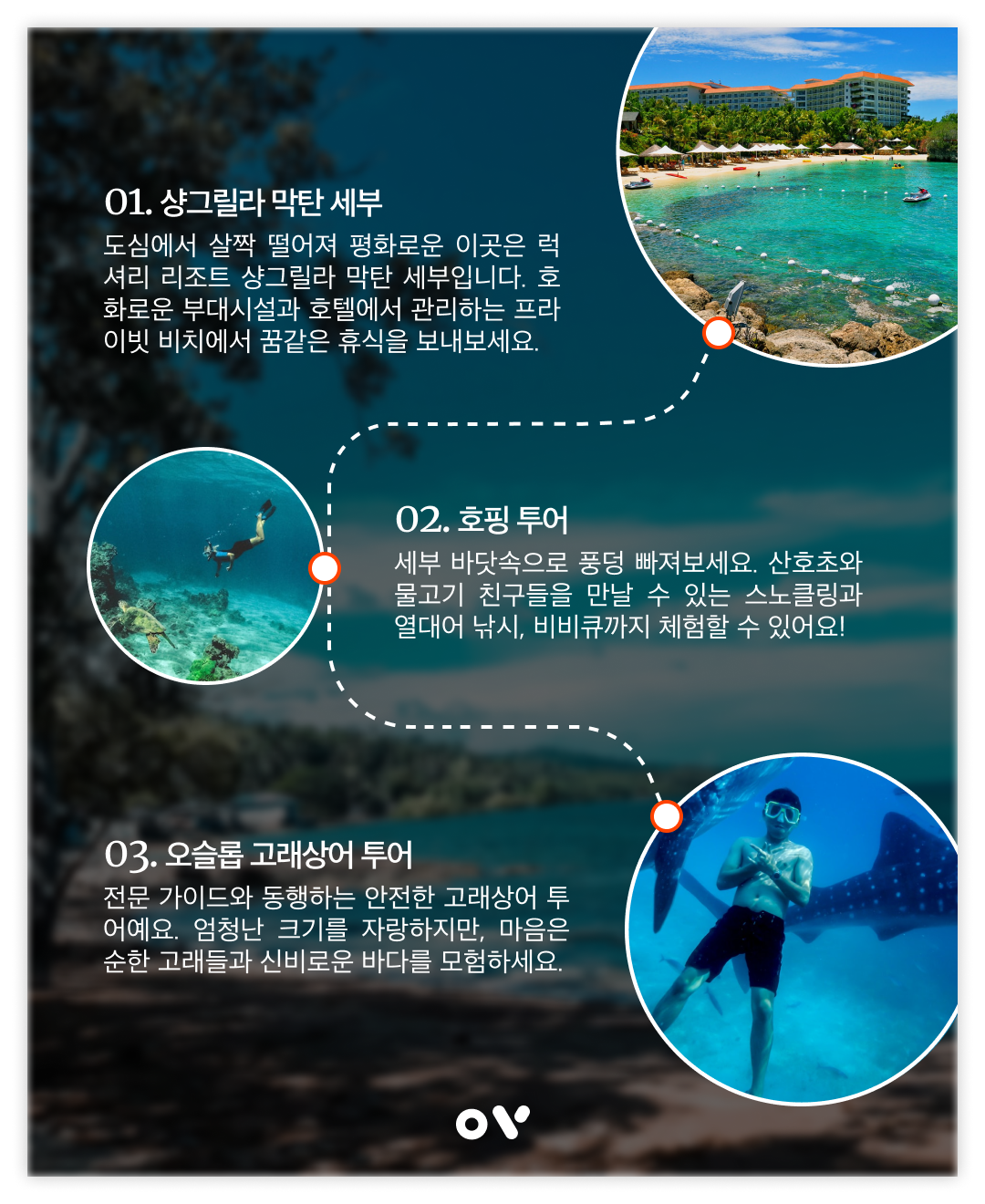 OV 코스_4_세부.png