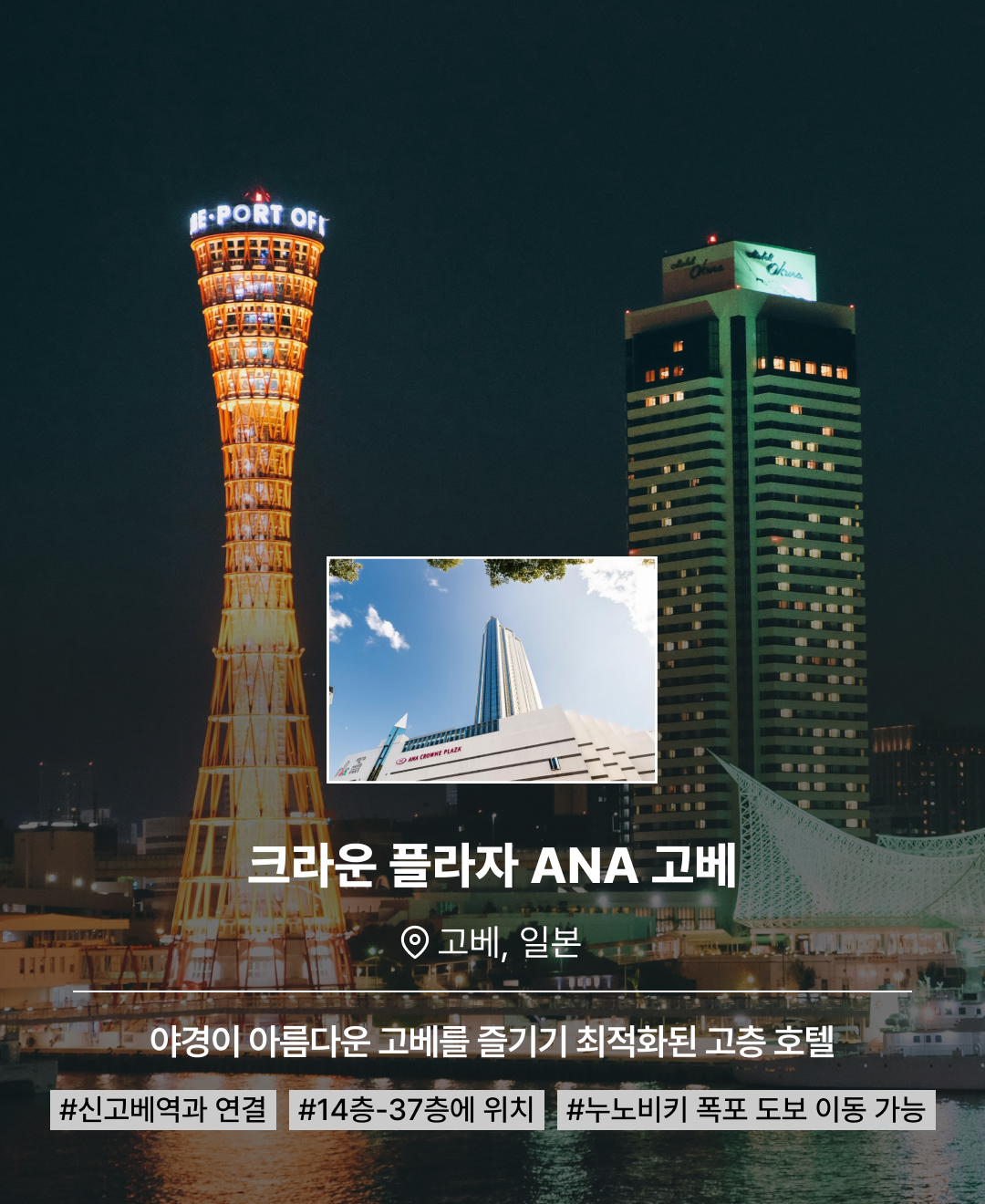 신규직항_06.png