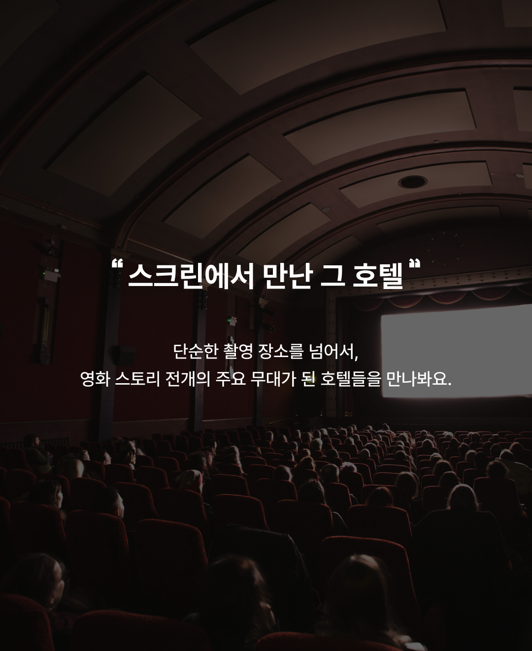 영화 컬렉션_02.png