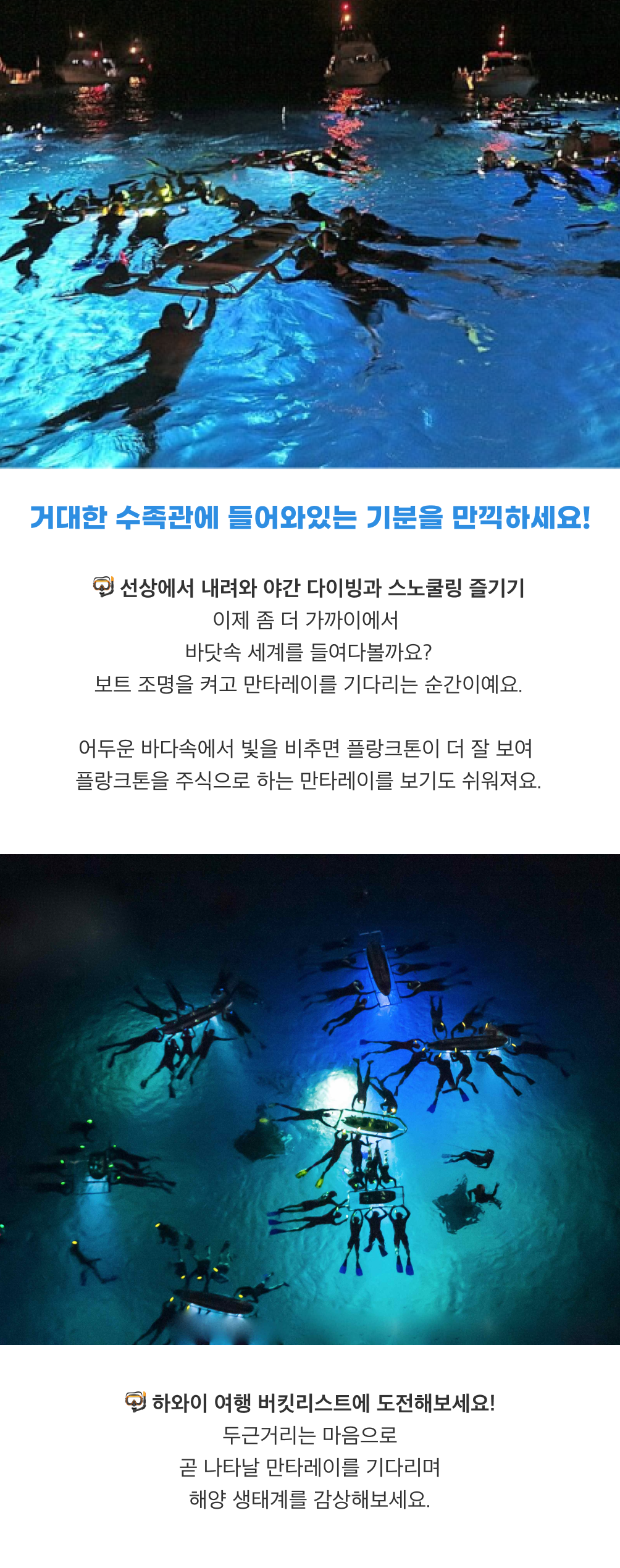 하와이 빅아일랜드 선셋 만타레이 스노쿨링3.png
