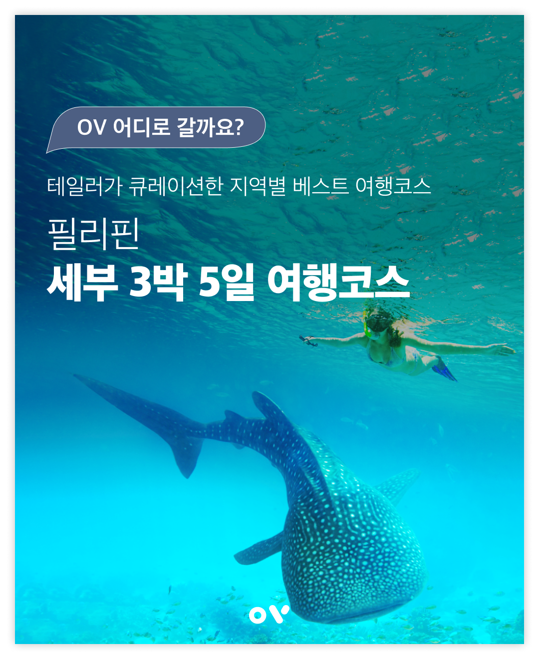 어디로 갈까요_썸네일_세부.png