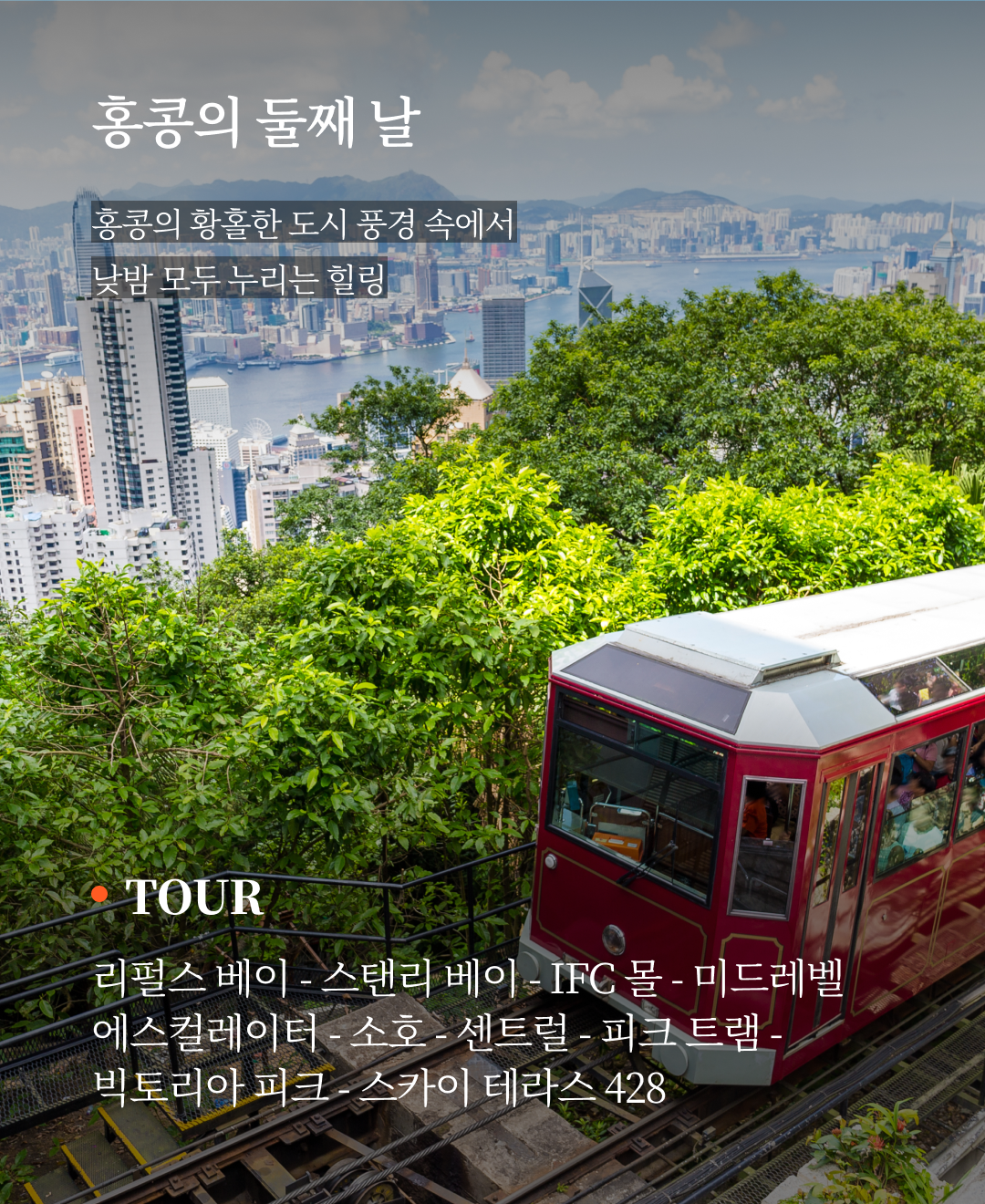 OV 상품 소개_홍콩 디즈니_06.png