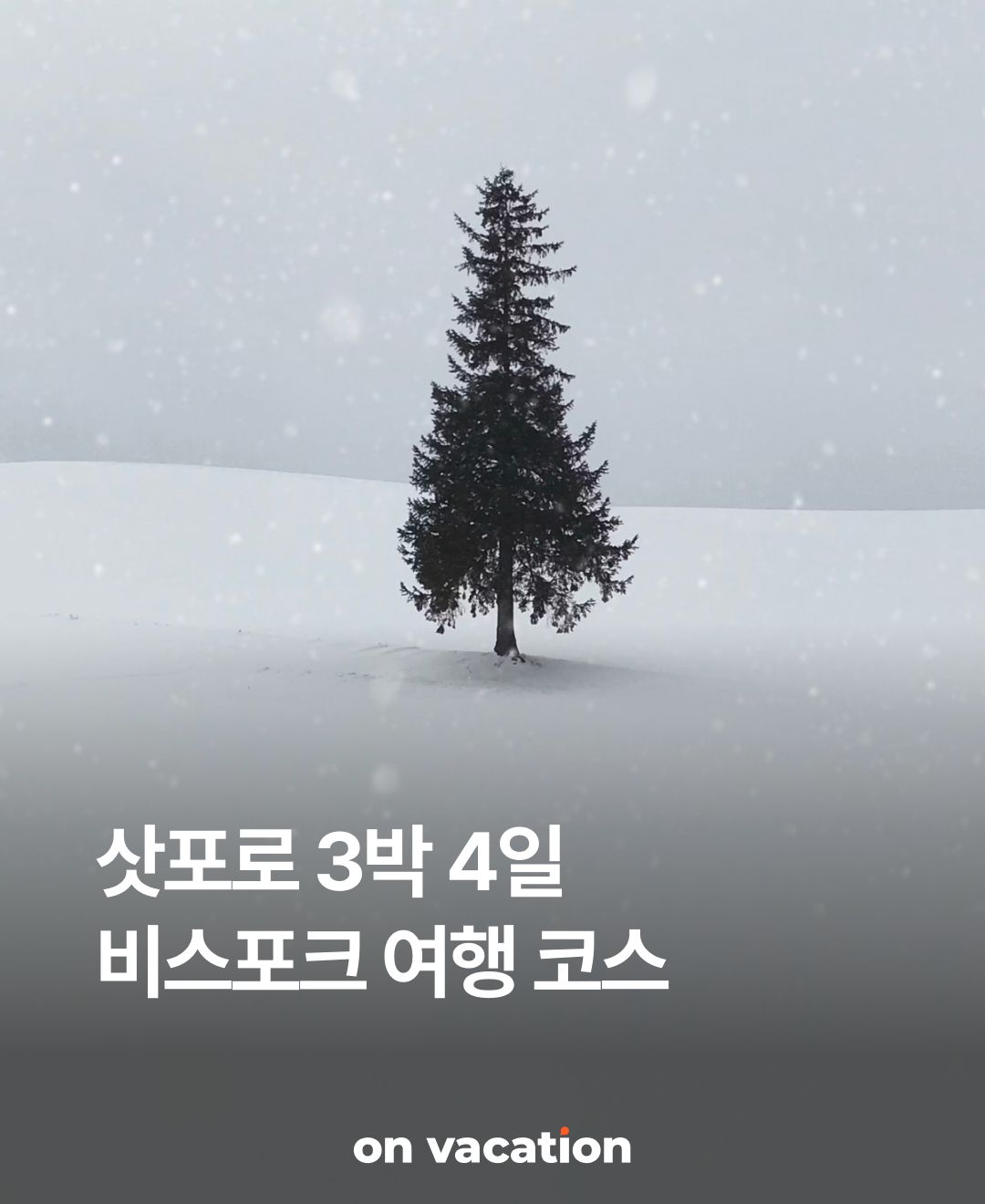 OV 상품 소개_삿포로_01.png