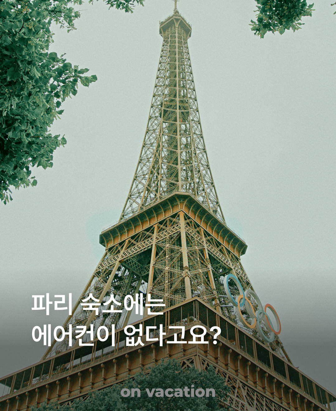 정보성 콘텐츠_1.png