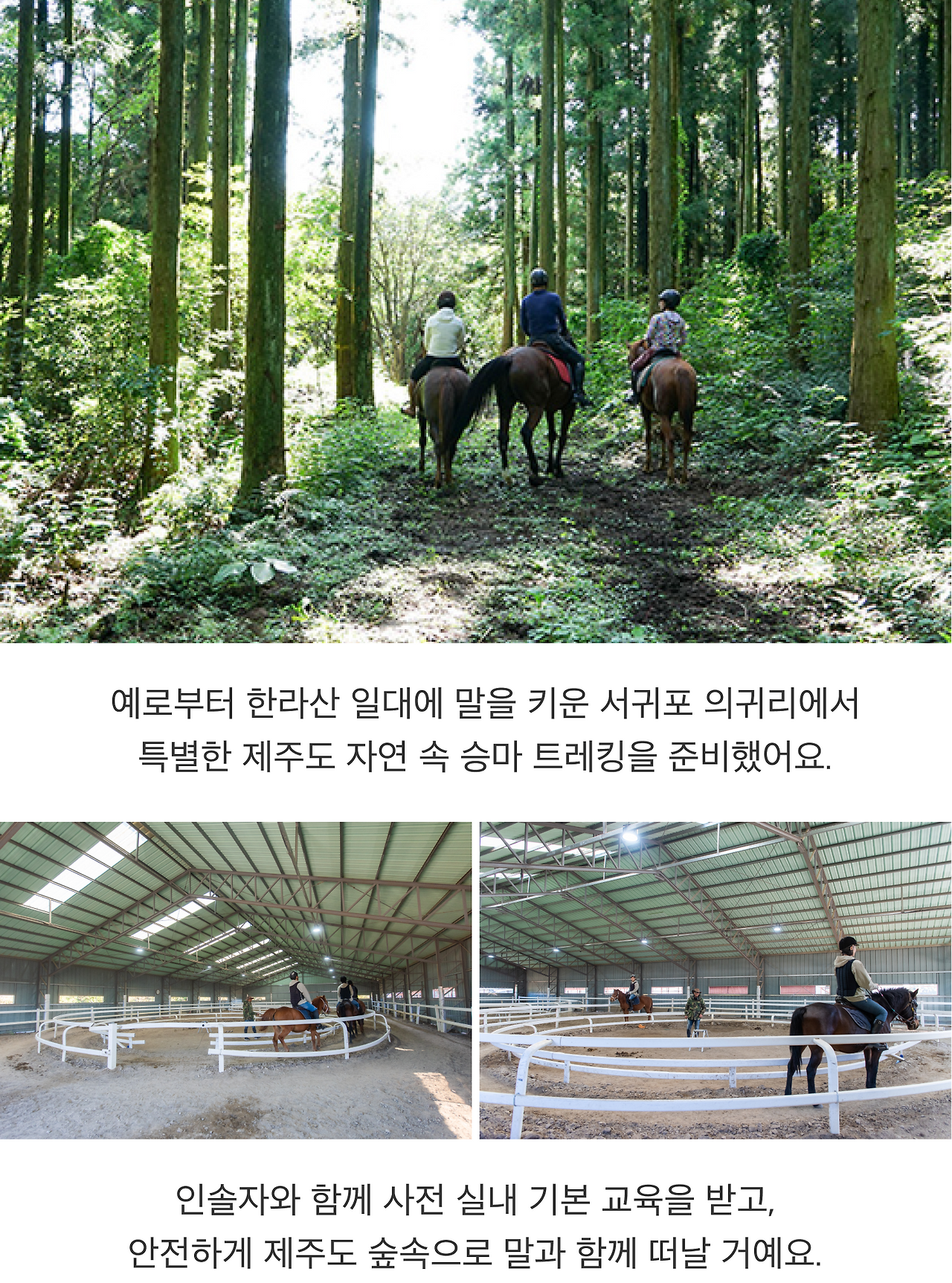 의귀리 승마체험2-1.png