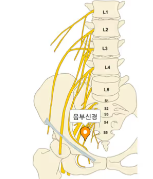 스크린샷 2025-05-20 142933.png