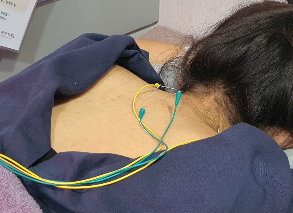 스크린샷 2025-11-21 184528.png