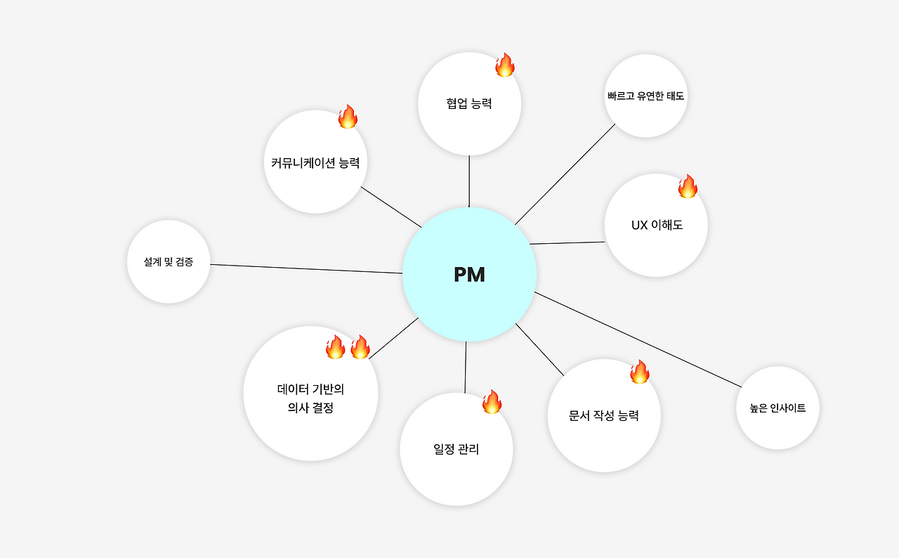PM의 역할과 역량.png
