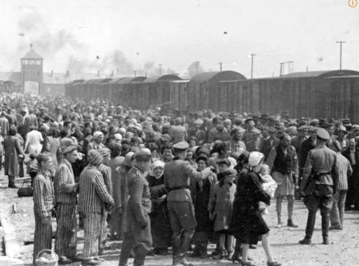 스크린샷 2023-11-20 오전 5.26.19.png