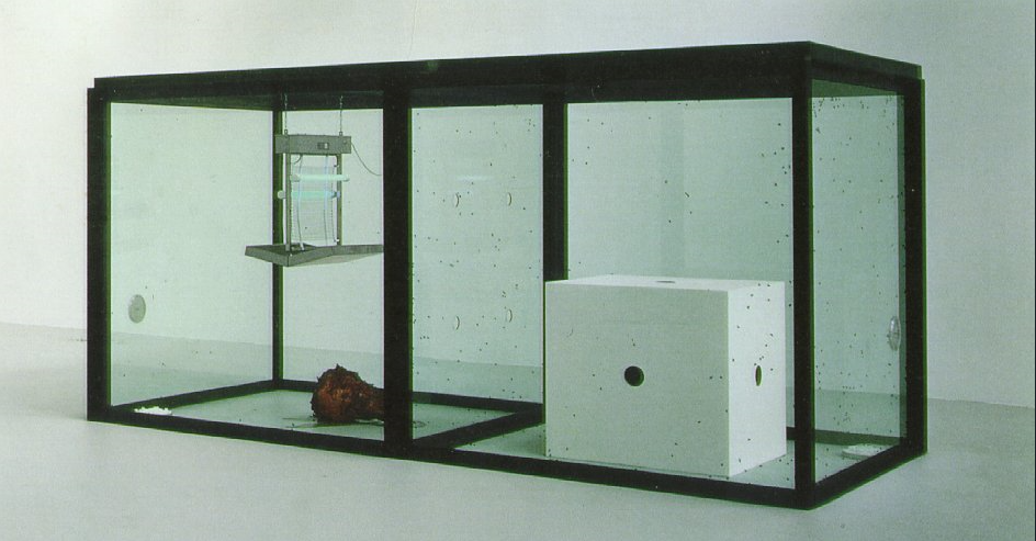 데미안 허스트 천 년 1990.png