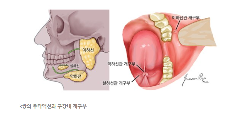 스크린샷 2024-02-07 111823.png