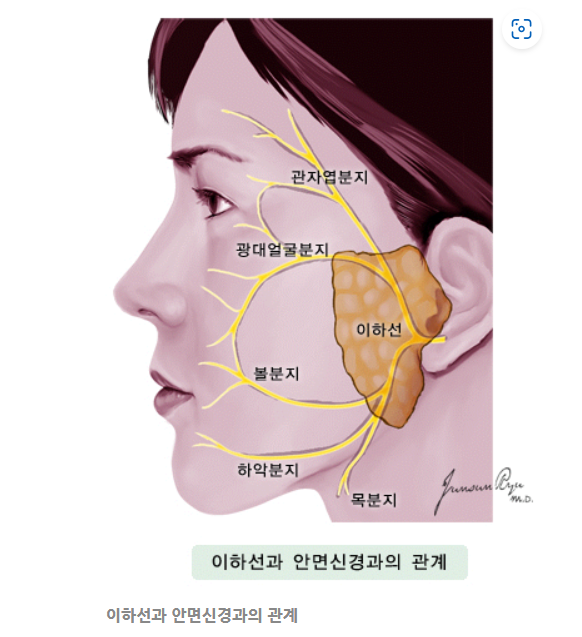 스크린샷 2024-02-07 111844.png