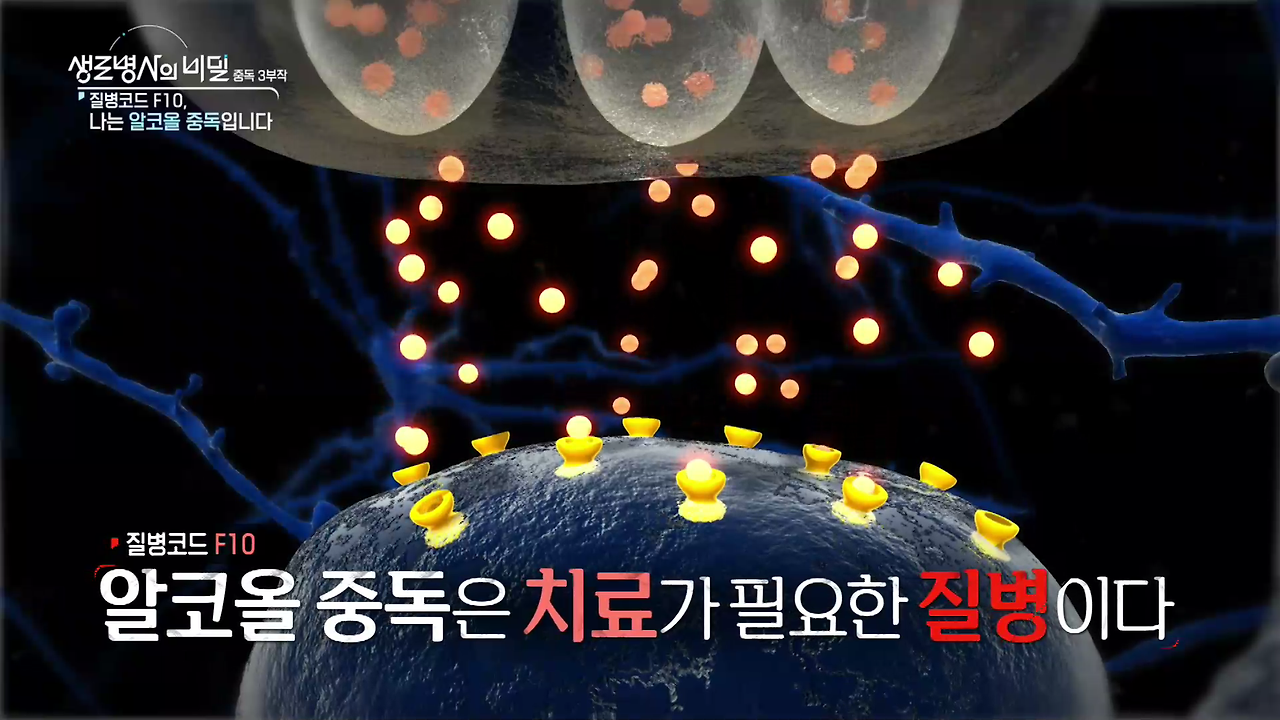 912회 본방 최종.mp4_001119052.png