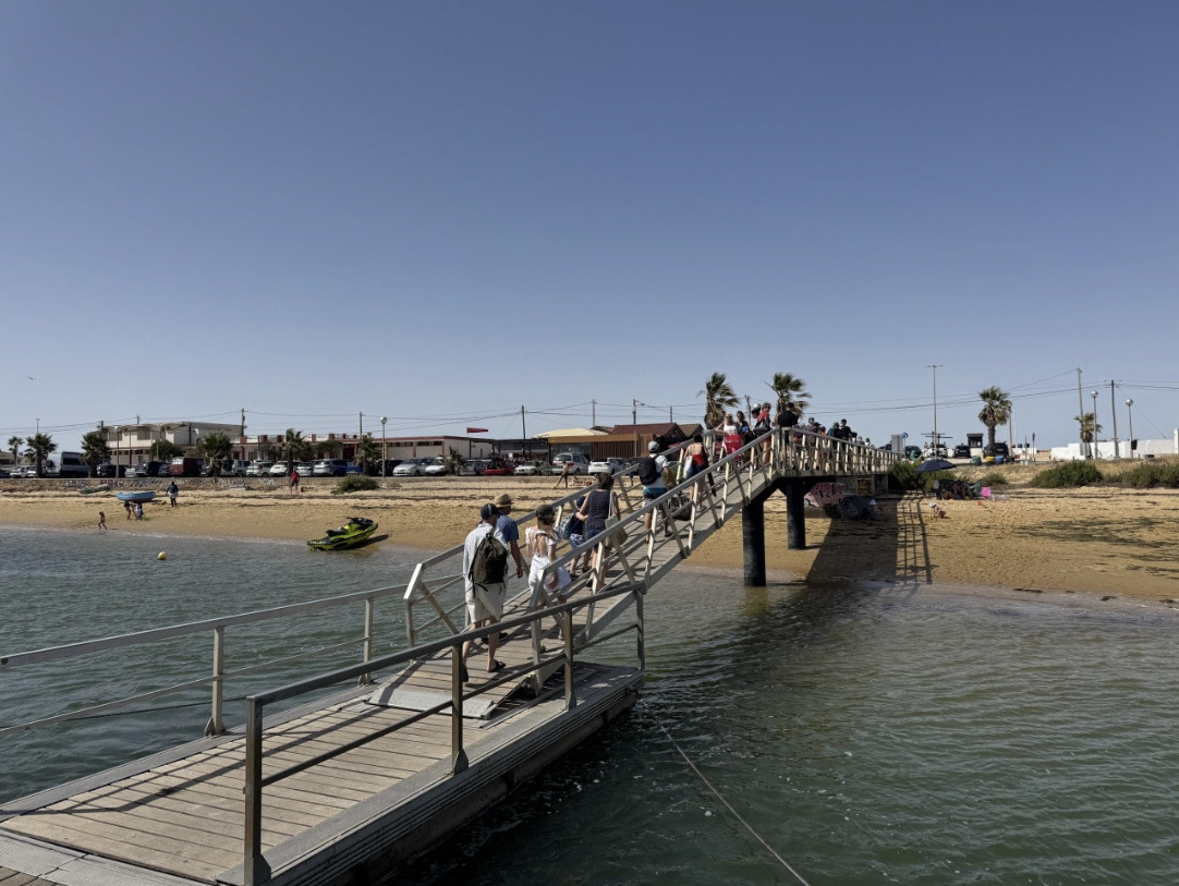 화면 캡처 2026-01-16 194848.png