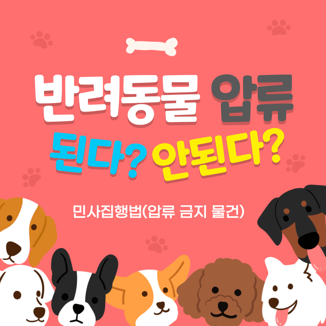 반려동물-압류할수-있다-없다-001.png