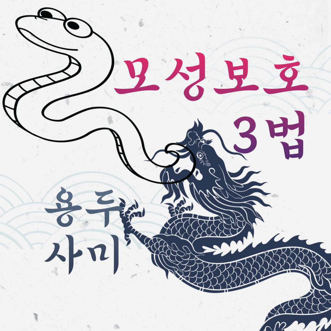 용두사미-모성보호-3법-001.png