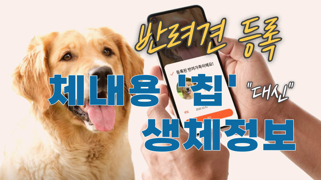 반려견-등록-생체정보-001.png
