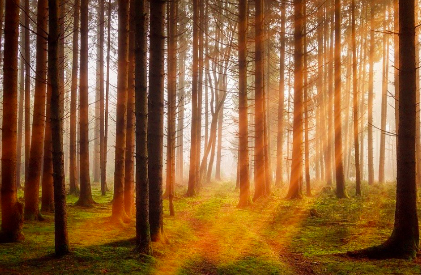 스크린샷 2021-10-12 오전 11.31.55.png