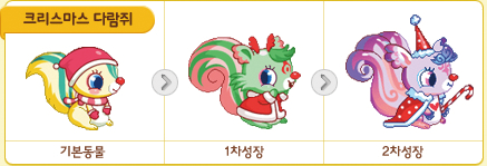 사진6-크리스마스 다람쥐.png