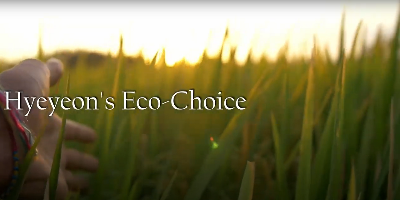 hyeyeons_eco_choice.png