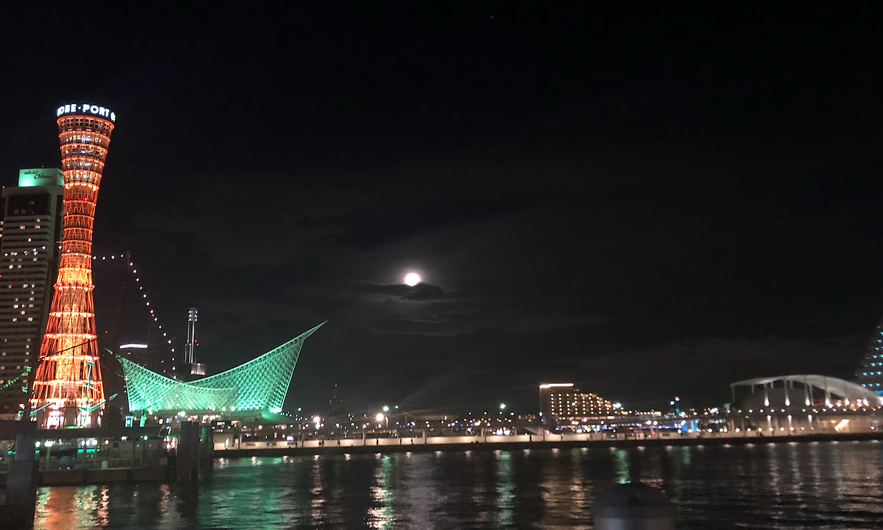 스크린샷 2022-03-19 오전 12.56.33.png