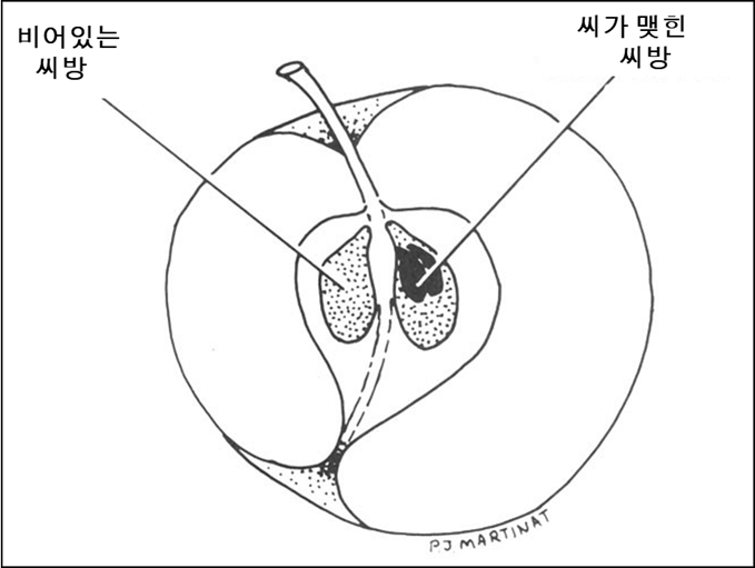 우 씨방.png