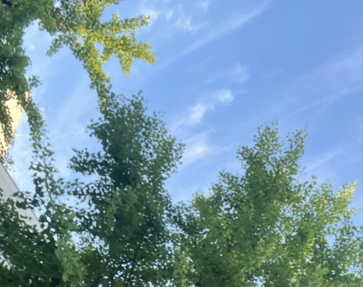 스크린샷 2022-06-18 오후 10.25.21.png