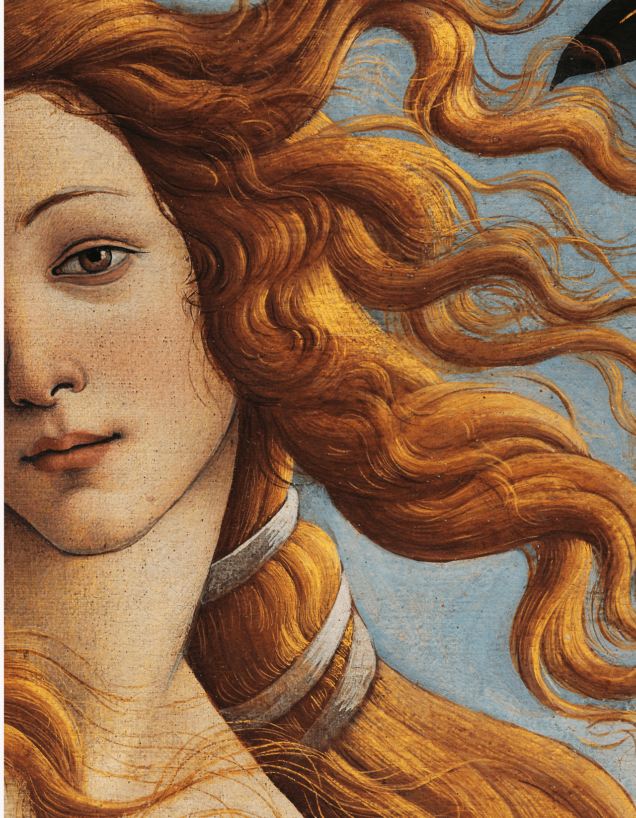 Aesthetic Oil Paint Renaissance T-Shirt.png