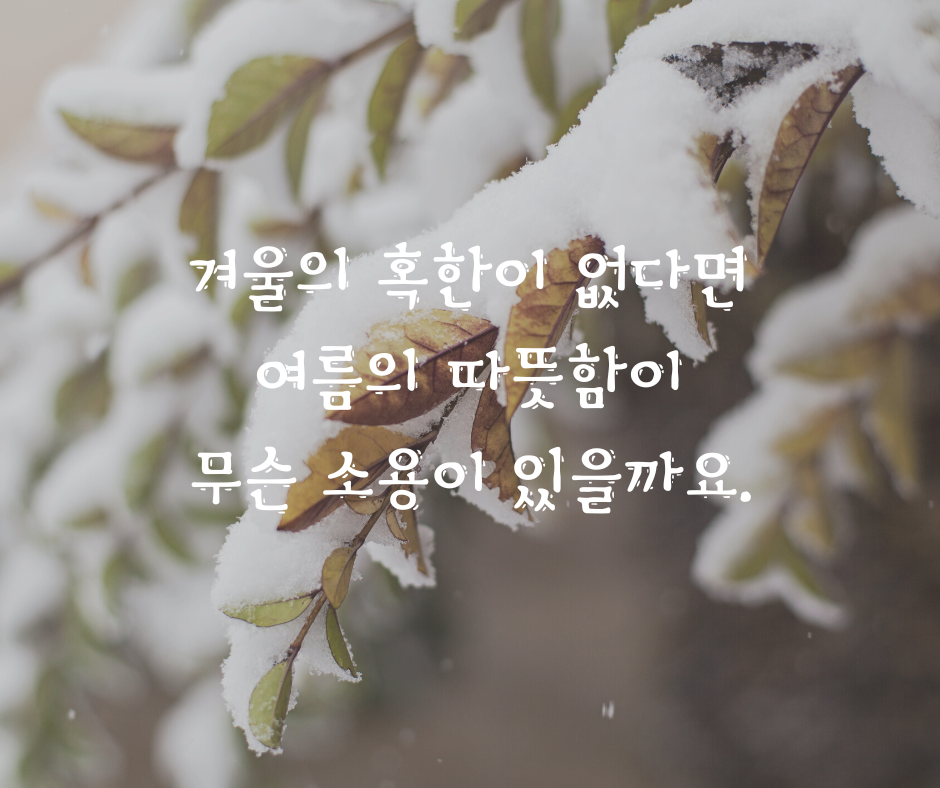갈색 눈 속 잎 인용 겨울 페이스북 게시물.png