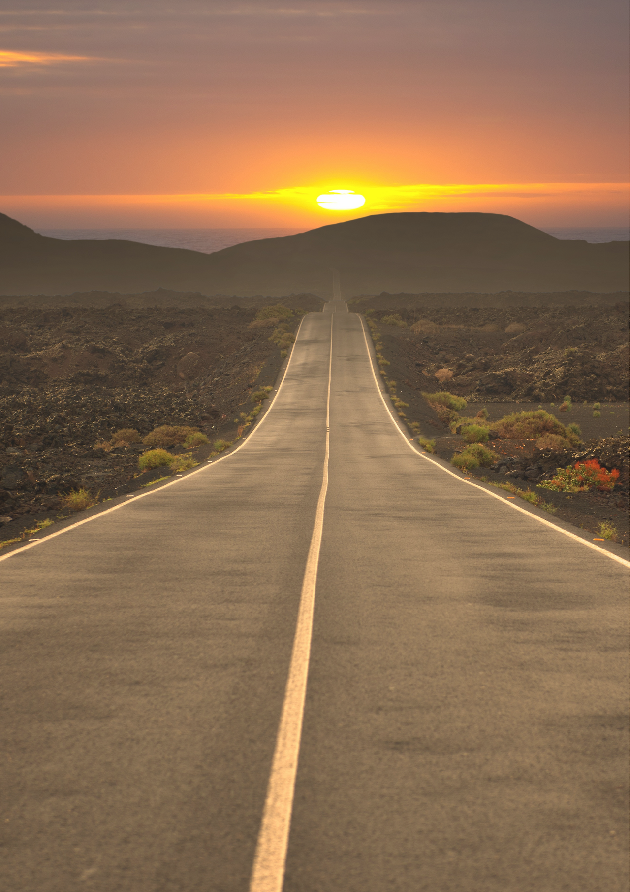 Travel Tour Agent (Flyer) (Poster).png