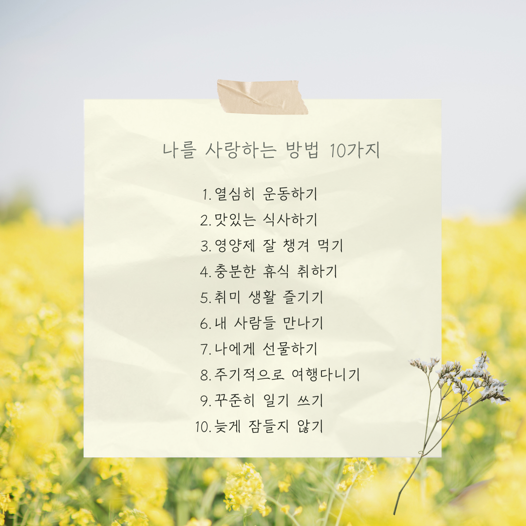 노란색 화사한 유채꽃 봄 긍정확언 공지사항 인스타그램 포스트.png