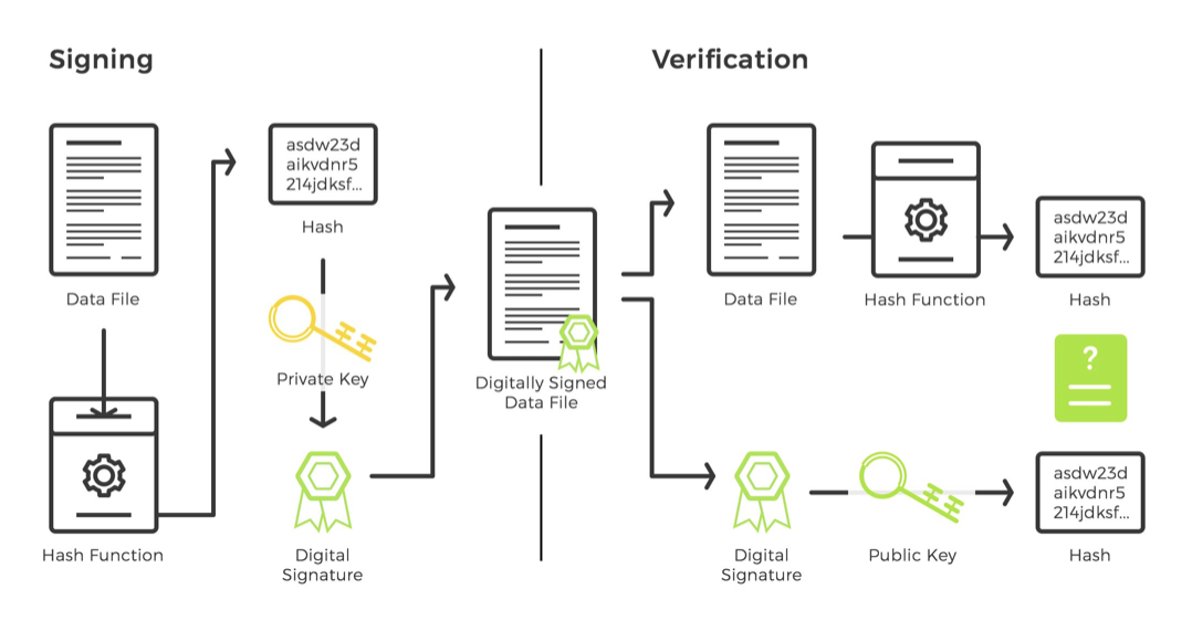 Screen Shot 2022-06-02 at 11.43.20 PM.png