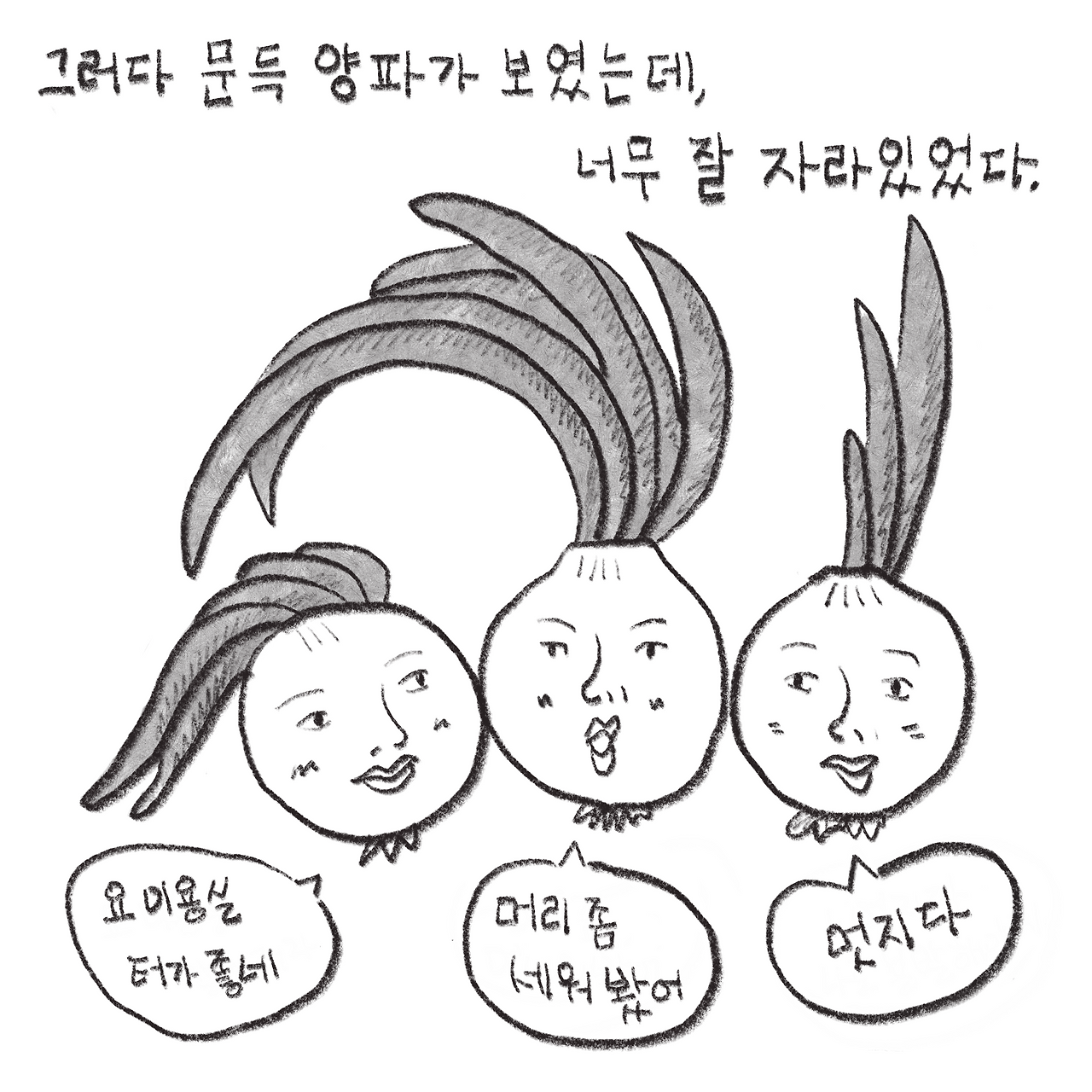 231124_양파_9.png